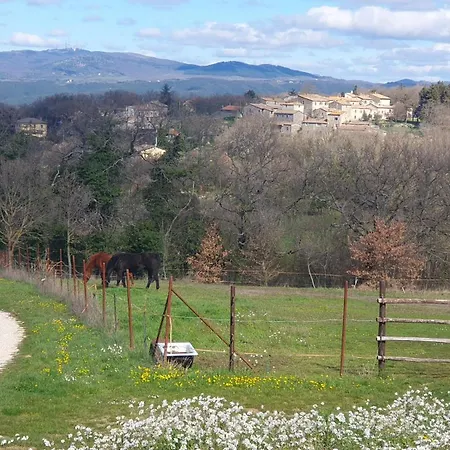 Casa Vacanze Le Salce Civitella Del Lago