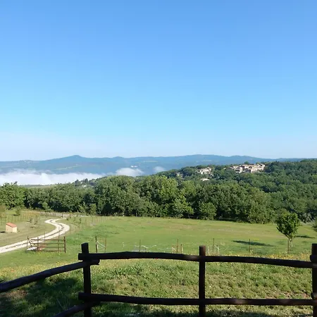 Tatil Evi Casa Vacanze Le Salce Civitella Del Lago